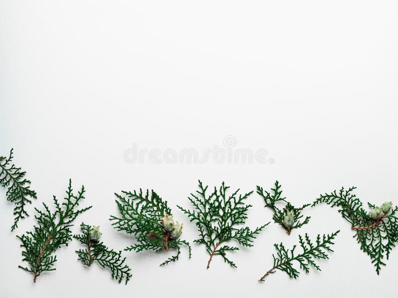 Minimal Christmas pattern with copy space stock photo