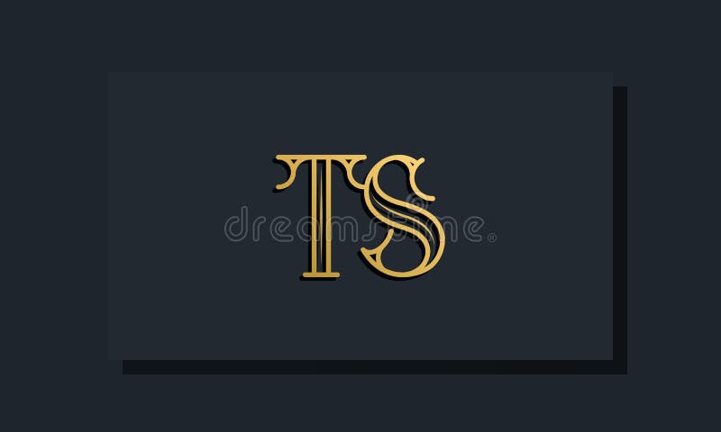 Minimal Inline style Initial TS logo stock illustration