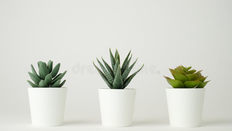 Minimal Plant Pot for Decoration and Up . Decorative Potted Stock - Image of scandinavian, decor: