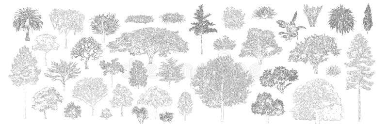 Freehand Sketch of Tree Elevation free CAD blocks download