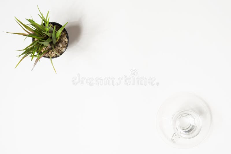 Minimal white office desk table with glass of drinking water and grass pot. Top view with copy space, flat lay stock photos
