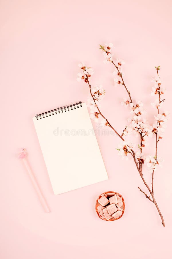 Minimale kaartverpakking met lege, open witte laptop, bloesem-kersenbloemtak op roze achtergrond Vlakke laag, bovenaanzicht, stock afbeeldingen Minimale kaartverpakking met lege, open witte laptop, bloesem-kersenbloemtak op roze achtergrond Vlakke laag, bovenaanzicht, stock afbeeldingen
