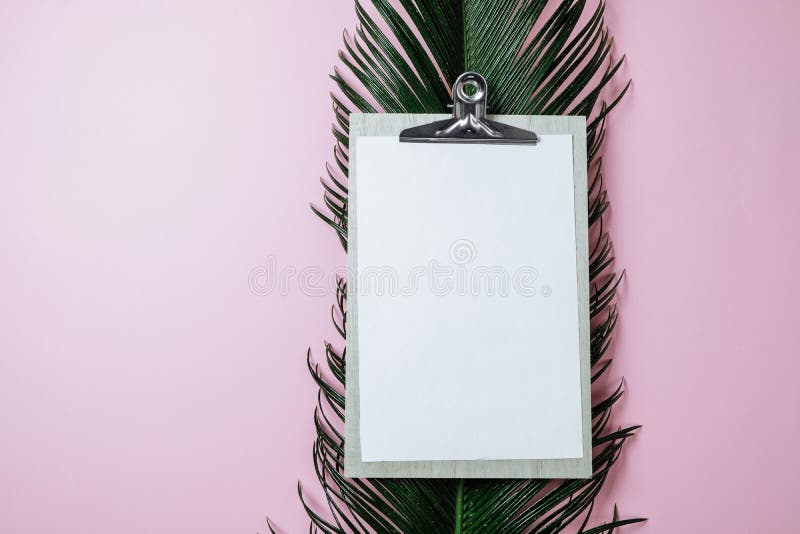 Minimale Zusammensetzung mit Klemmbrett und grüne Palme verlassen auf Rosa lizenzfreie stockfotografie Minimale Zusammensetzung mit Klemmbrett und grüne Palme verlassen auf Rosa lizenzfreie stockfotografie
