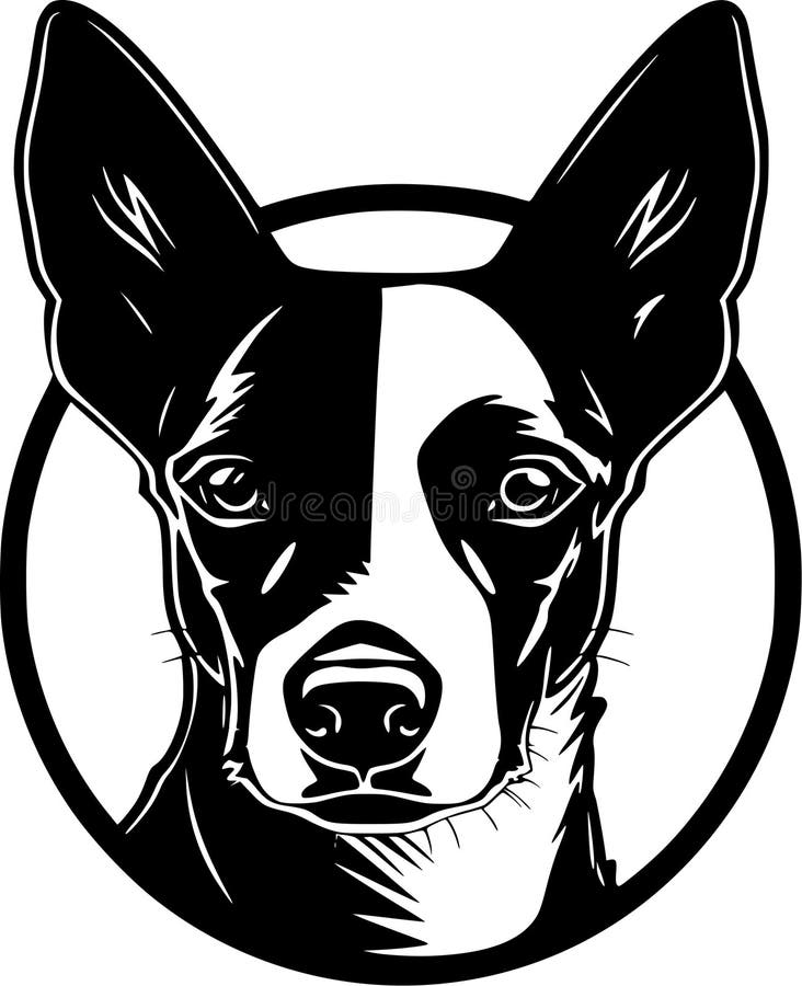 Basenji - Minimalist and Simple Silhouette - Vector Illustration Stock