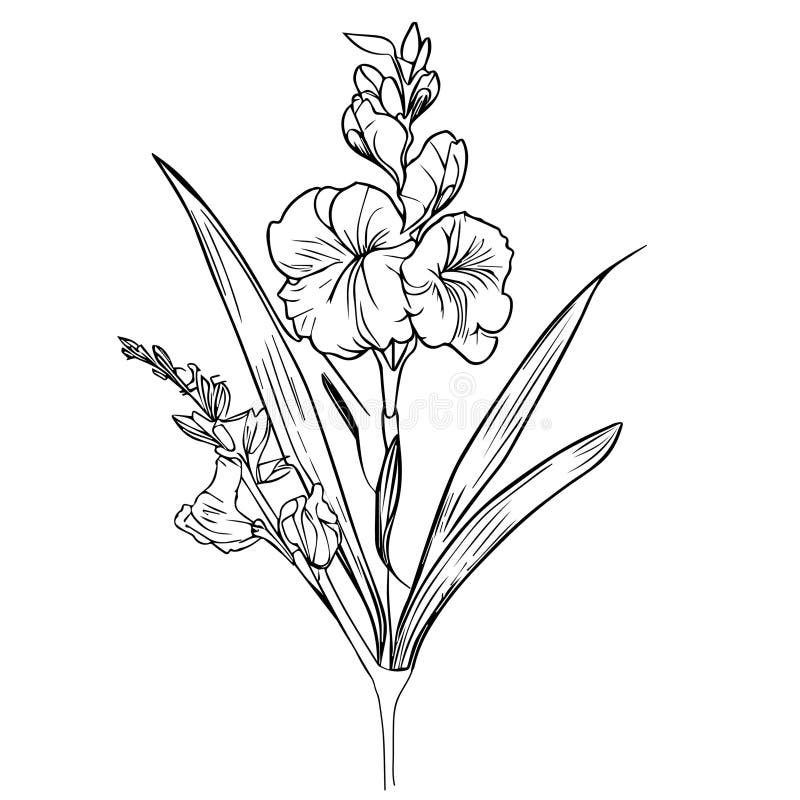 Is this a gladiolus flower without the center stem or a hibiscus? I want it  tattooed as a Gladiolus Flower, but not sure what it is. : r/whatsthisplant