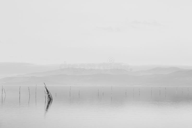 Minimalist View of Fishing Net Poles on a Lake, with Perfectly