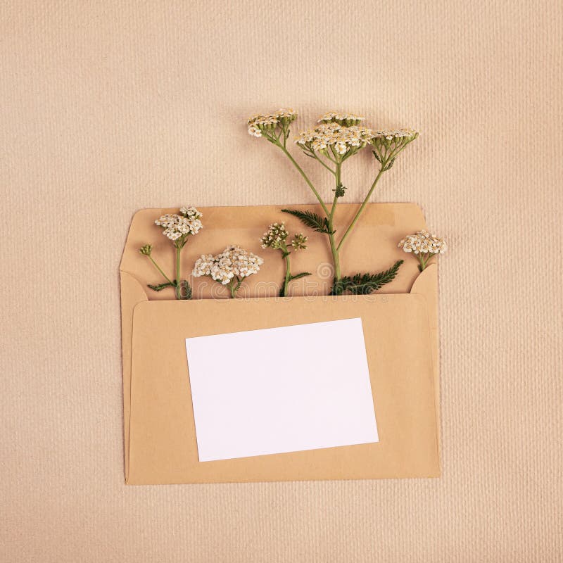 Minimalistic postcard with a bouquet of wild flowers stock images