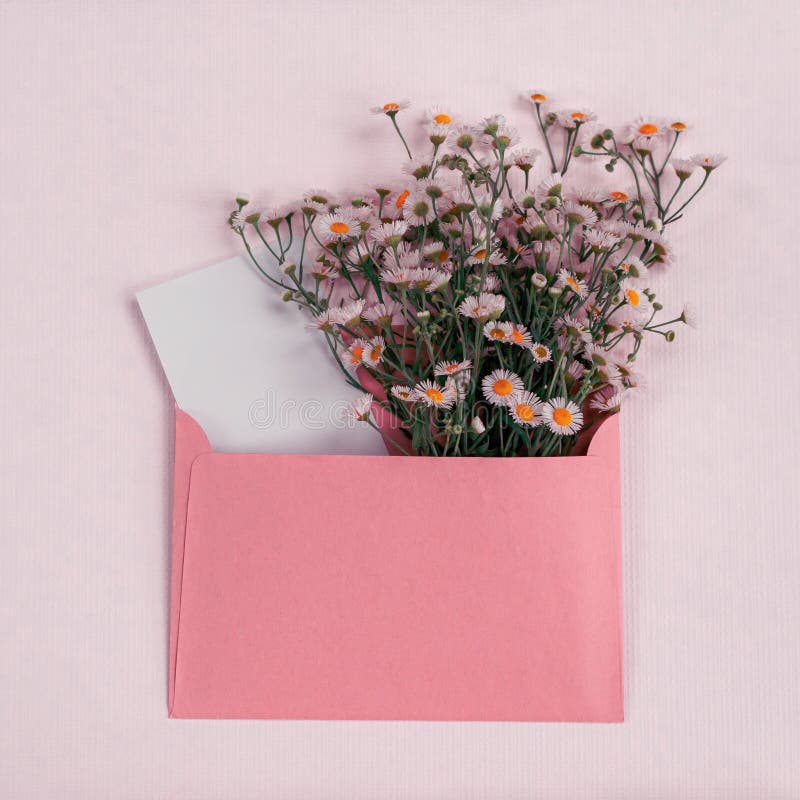 Minimalistic postcard with a bouquet of wild flowers royalty free stock images