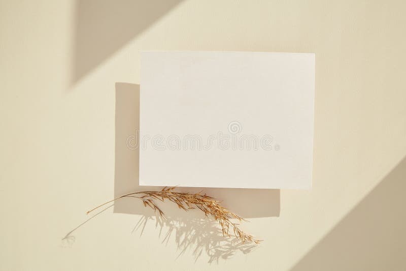 Vintage Aesthetic Stationery Card and Paper Mock Up for Invitation
