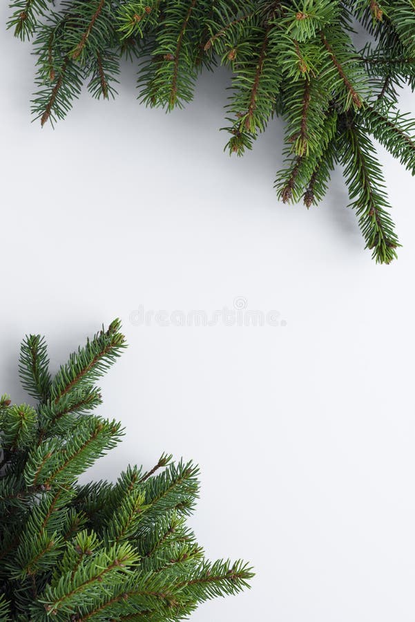 Minimalistic, vertical greeting card for Christmas wishes. Green conifer tree branches as a frame for copy space on white table. A minimalistic, vertical stock images Minimalistic, vertical greeting card for Christmas wishes. Green conifer tree branches as a frame for copy space on white table. A minimalistic, vertical stock images