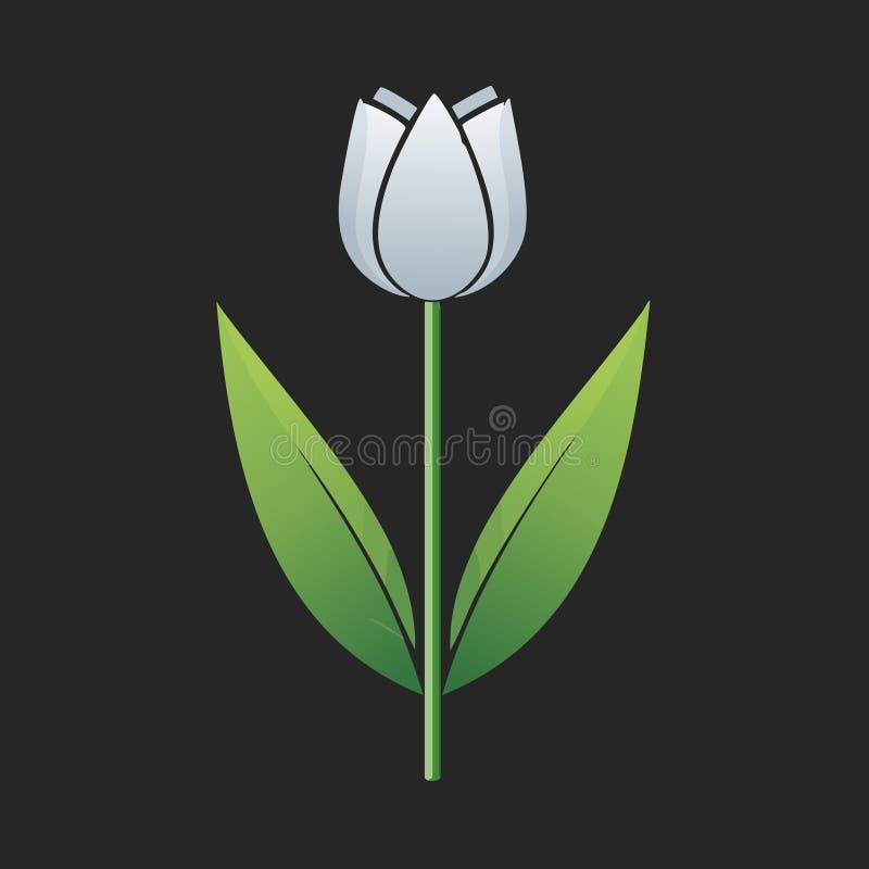 Minimalistische Vektorgrafik einer weißen Tulpe mit grünen Blättern auf dunklem Hintergrund einfaches Blumendesign für moderne Nat vektor abbildung