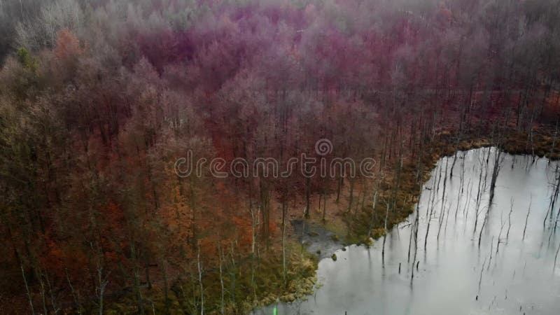 Mining excavation flooded with water