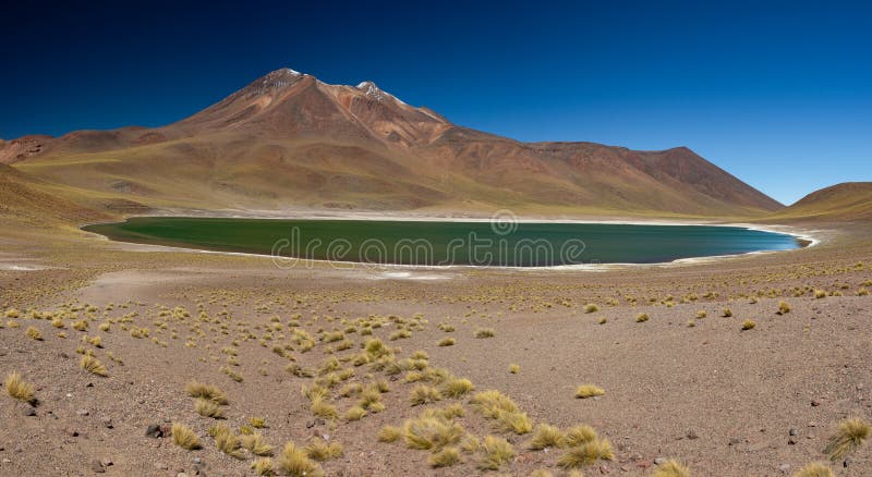 Miniques laguna w Atacama średniogórzy ogromnej panoramie zdjęcie stock Miniques laguna w Atacama średniogórzy ogromnej panoramie zdjęcie stock
