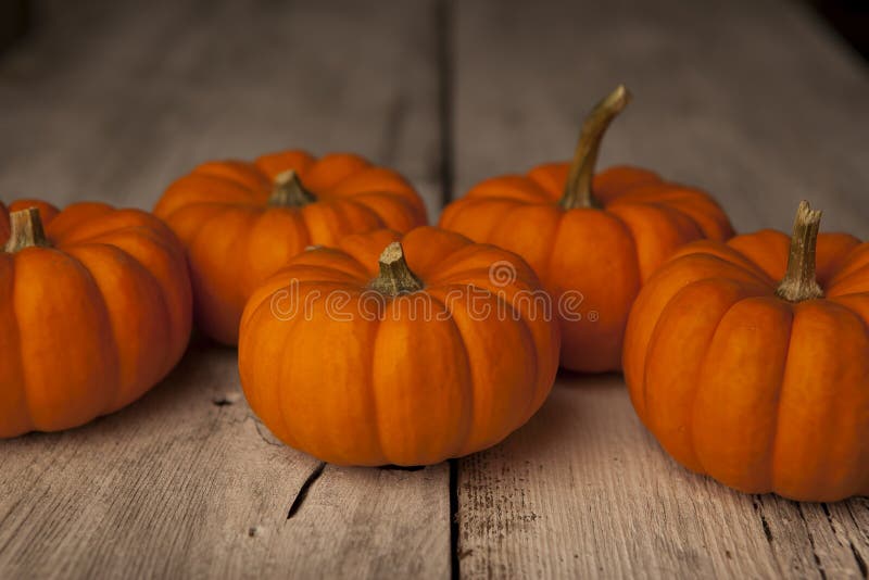 Miniture orange pumpkins.