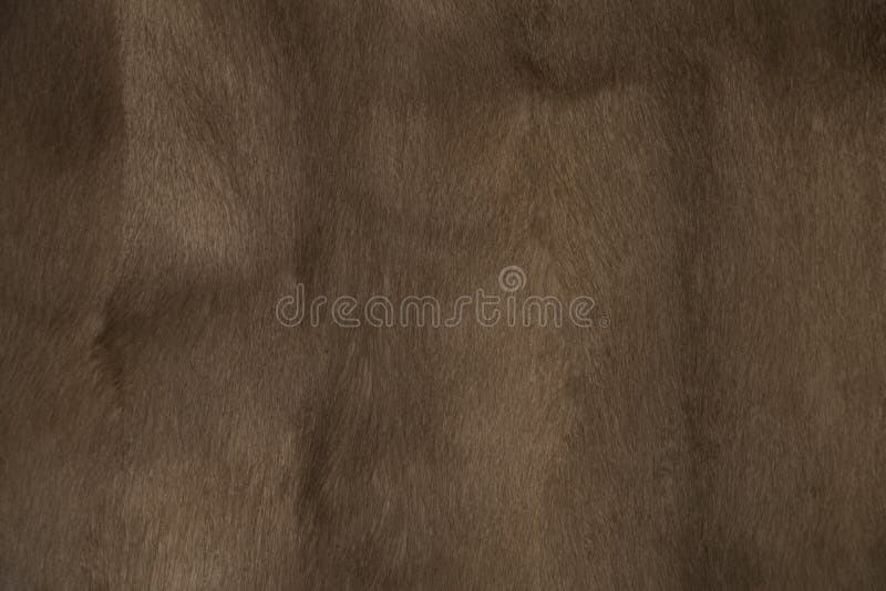 Mink Fur Background Texture Stock Photo - Image of luxurious, color