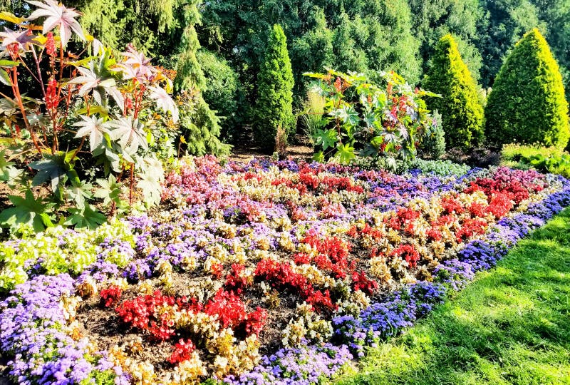 Minneapolis giardino di fiori del sud
