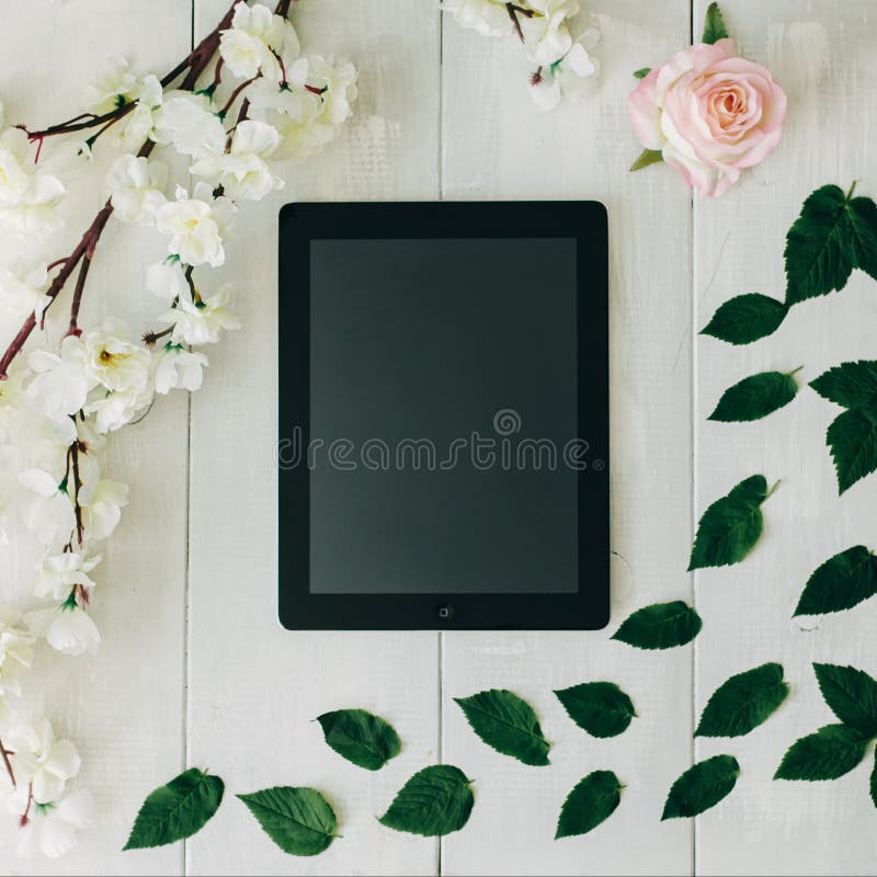 Minnestavlan, rosa färgrosblomman, gräsplansidorna och sakuraen förgrena sig på det vita träskrivbordet - och Spedition fotosamli royaltyfri foto Minnestavlan, rosa färgrosblomman, gräsplansidorna och sakuraen förgrena sig på det vita träskrivbordet - och Spedition fotosamli royaltyfri foto