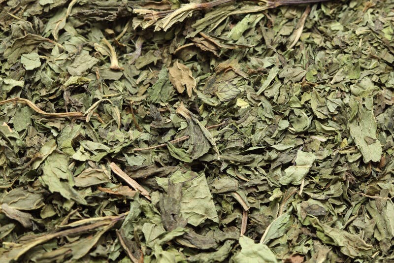 Dried peppermint stock photo. Image of dried, food, detail 22882828