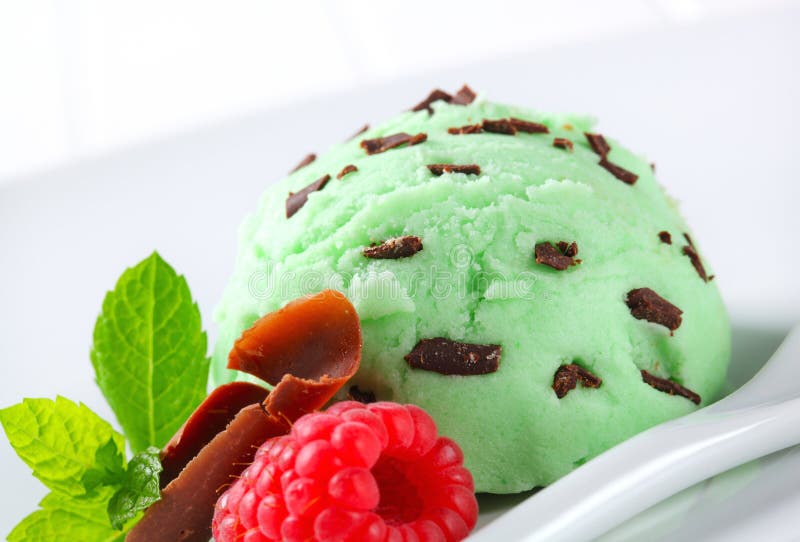 Mint Chocolate Chip Ice Cream Stock Image Image of scoop, food 55559413