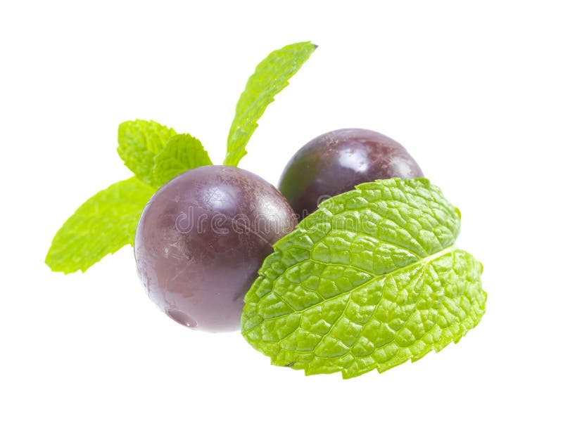 Mint chocolate. stock photo. Image of mint, object, ball 35837328