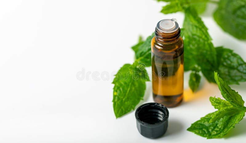 Mint essential oil bottle and green leaf on white background royalty free stock photo Mint essential oil bottle and green leaf on white background royalty free stock photo