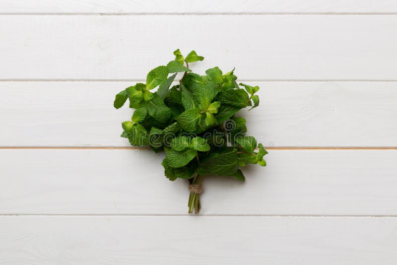 Mint Leaf. Fresh Mint on Colored Background Stock Image Image of