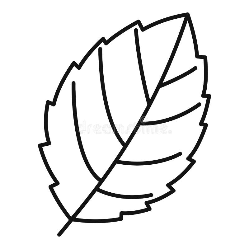 Mint Leaf Drawing Images – Browse 74,350 Stock Photos, Vectors
