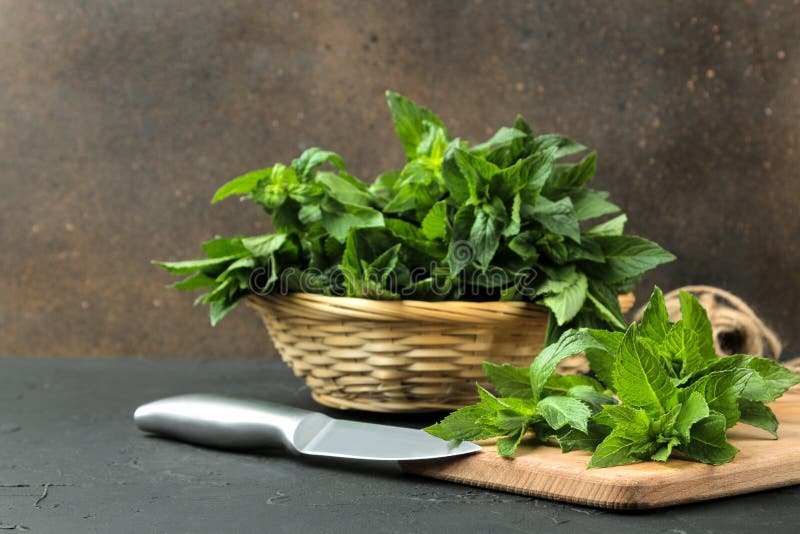 Mint. Leaves and Branches of Fresh Green Wild Mint on a Cutting Board