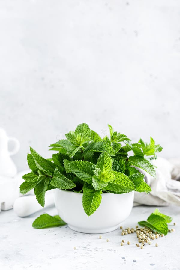 Mint Leaves in Bunch on White Kitchen Table Stock Photo Image of food