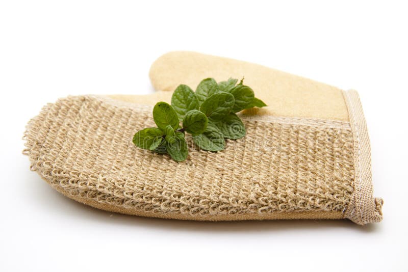 Mint Leaves on Massage Glove Stock Photo Image of stem, vein 30154420