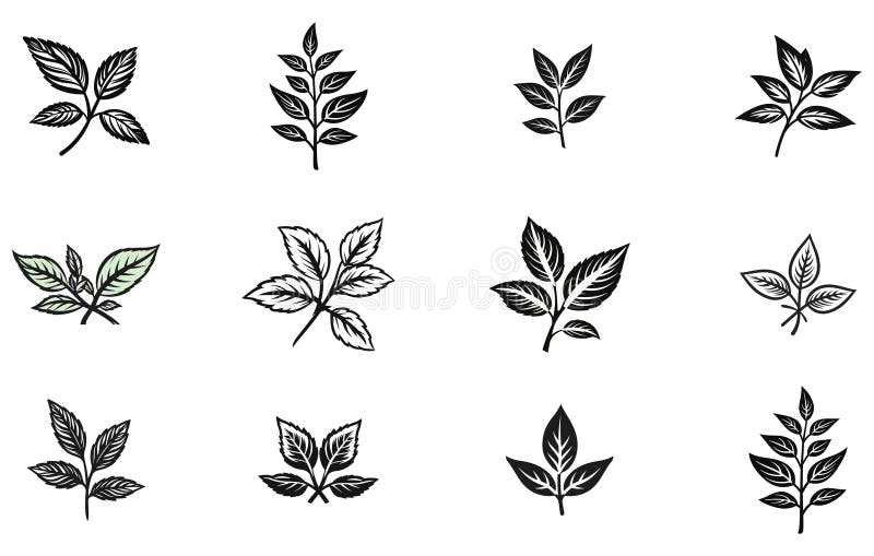 Mint Leaves Set Silhouette,mint Leaves Set Vector Stock Vector