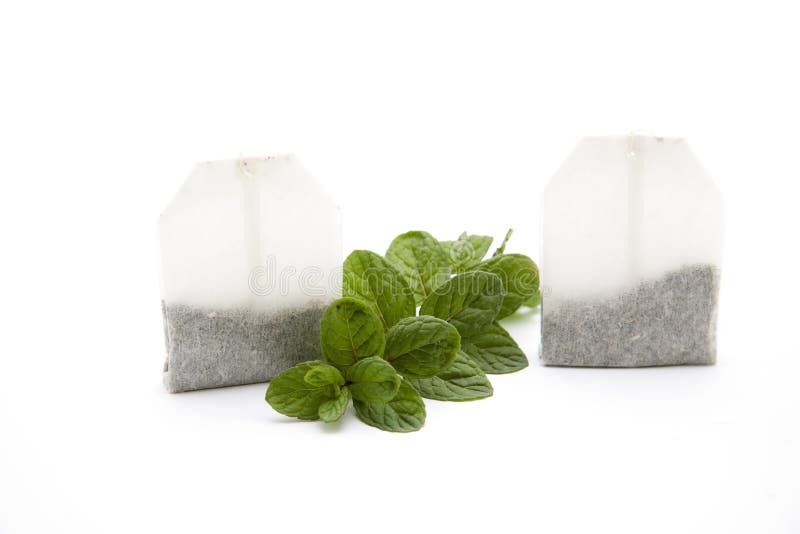 Peppermint with tea bag stock photo. Image of mint, stem 20518028