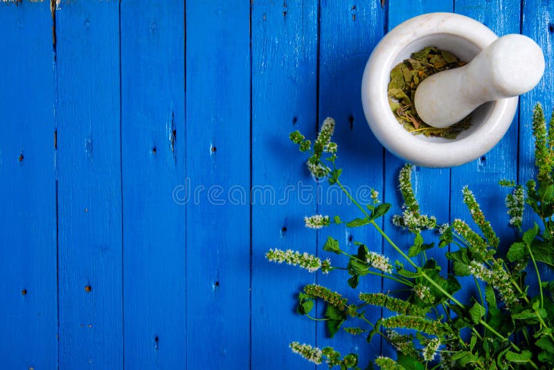 Mint and mortar, pestle on blue wooden background