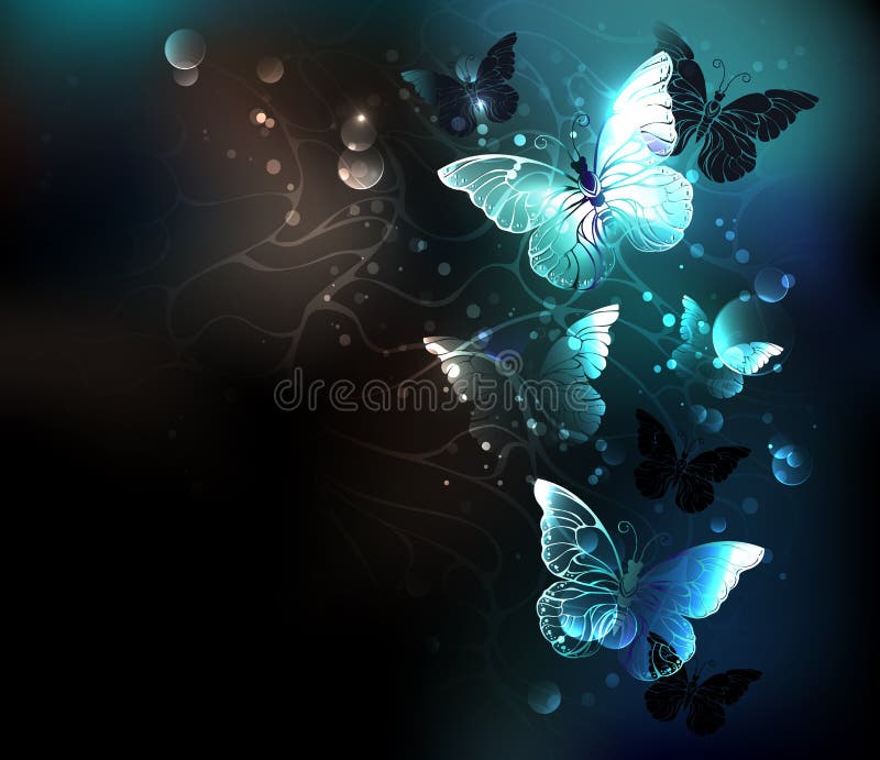 Những chú bướm đêm với sắc đen tuyệt đẹp có thể làm say mê bất cứ ai. Hãy tìm hiểu và cảm nhận vẻ đẹp đầy dịu dàng của chúng qua bức ảnh đầy bí ẩn.