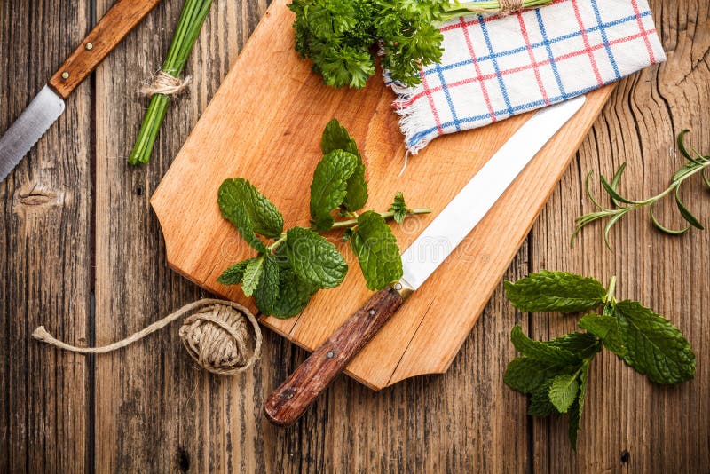 Mint and parsley royalty free stock images