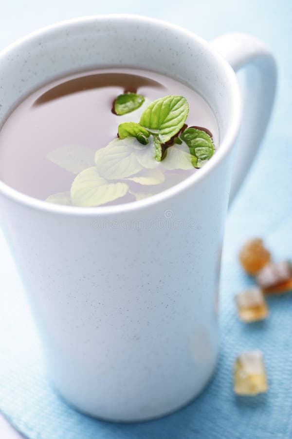 Mint tea stock photo. Image of beverage, drink, refreshment 17121264