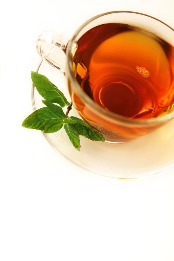 47+ English mint Free Stock Photos StockFreeImages