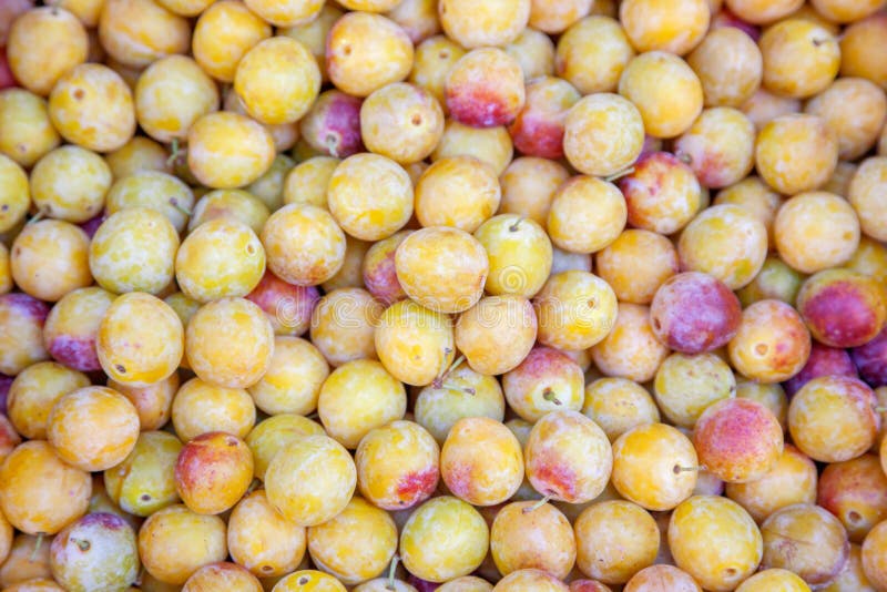 Mirabelle plums stock image. Image of nature, gourmet 64785879