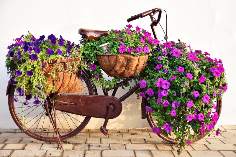 Miracle garden dubai