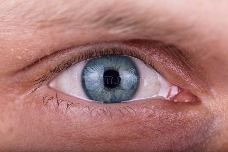 Mirada masculina penetrante atenta El primer de los ojos del hombre fotografía de archivo libre de regalías Mirada masculina penetrante atenta El primer de los ojos del hombre fotografía de archivo libre de regalías