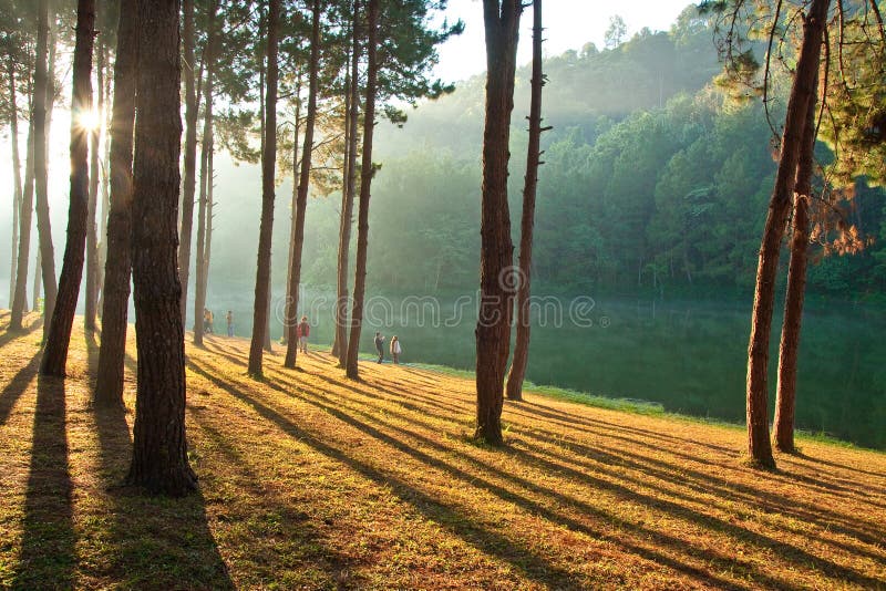 Wonder van de Zonsopgang stock foto