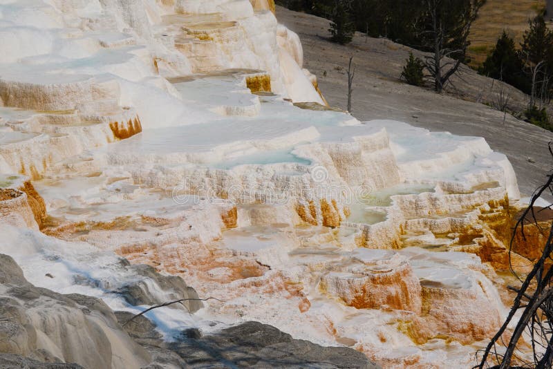 Mirando hacia las hermosas terrazas de una de las cascadas de Mammoth Hot Springs foto de archivo libre de regalías Mirando hacia las hermosas terrazas de una de las cascadas de Mammoth Hot Springs foto de archivo libre de regalías