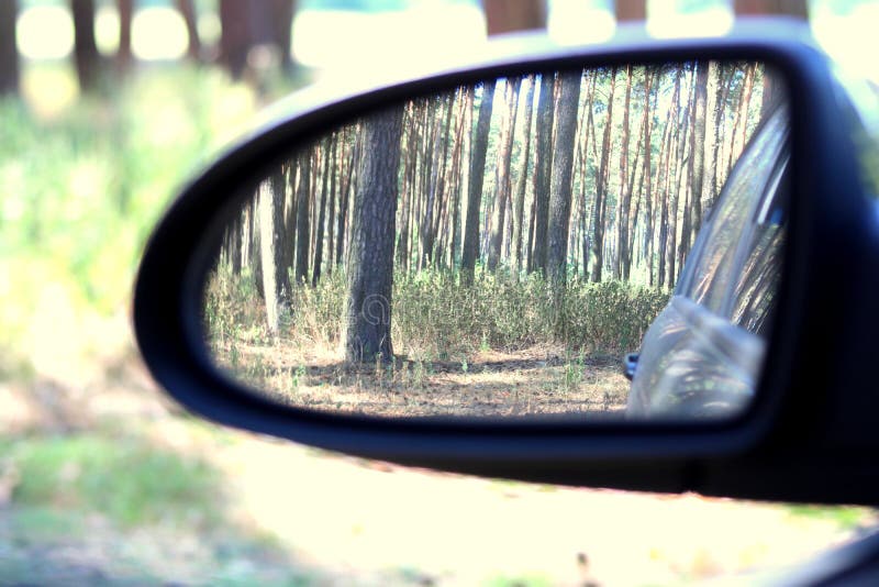 Miroir de voiture avec image de la pinède d'été à la réflexion par beau temps photographie stock Miroir de voiture avec image de la pinède d'été à la réflexion par beau temps photographie stock