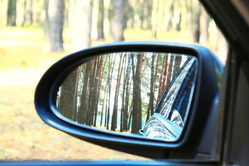 Miroir de voiture avec l'image de la forêt de pin d'été photographie stock libre de droits Miroir de voiture avec l'image de la forêt de pin d'été photographie stock libre de droits