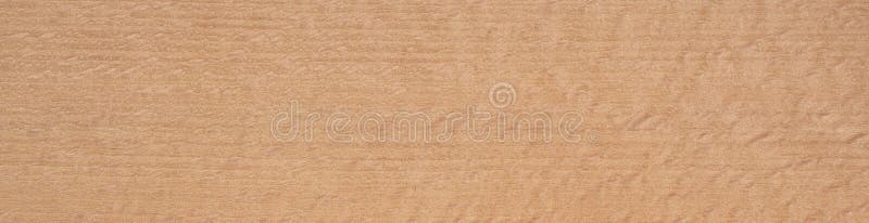 Mirror beech veneer showcasing unique ripple patterns and soft beige tones royalty free stock images