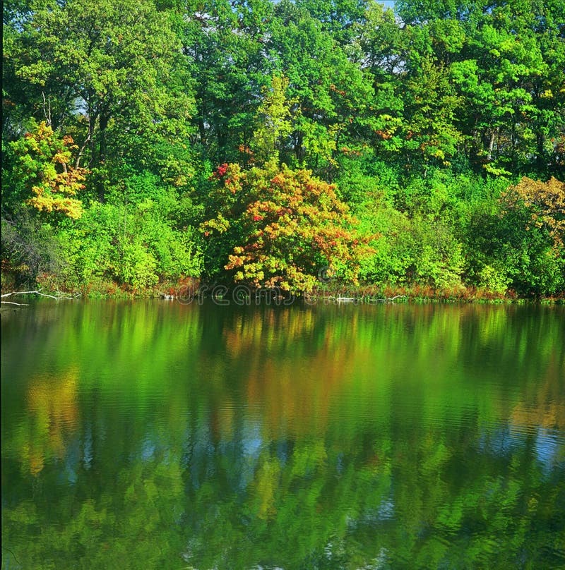 Mirror Lake Reflections Minnesota Stock Photo Image Of Quiet