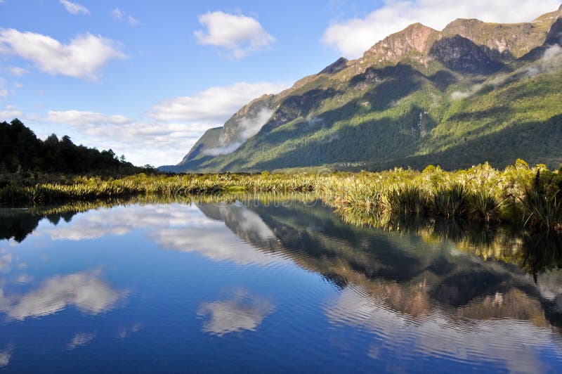 Mirror lakes, Milford Sound (New Zealand)