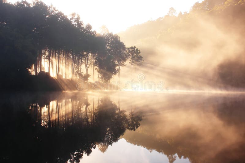 Mirror Of Nature stock photography