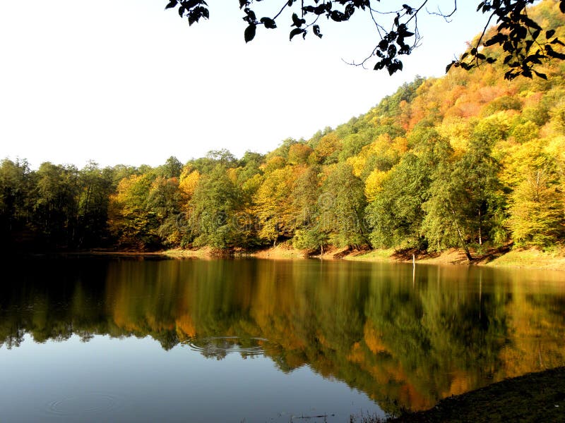 Autumn landscape in the forest with colorful trees next to a beautiful lake, Churet, Mazandaran, Iran. Mirror in nature !, a view of the beautiful autumn in stock images Autumn landscape in the forest with colorful trees next to a beautiful lake, Churet, Mazandaran, Iran. Mirror in nature !, a view of the beautiful autumn in stock images