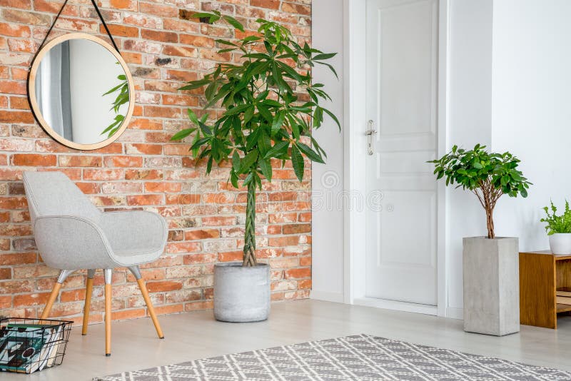 Mirror on red brick wall above grey armchair and plant in living room interior with door